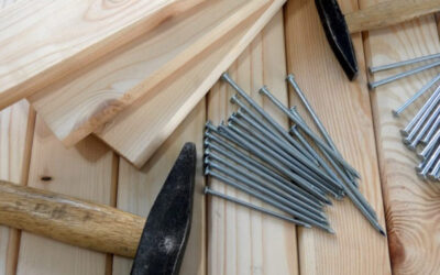 Maintenance vs Insurance in Community Schemes