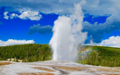Geyser Related Insurance Claims