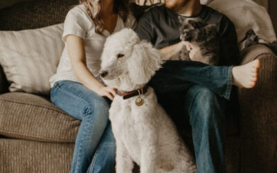 Pets in Community Schemes