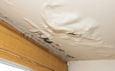 Moisture & rising damp