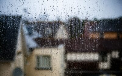 Effective Damp Management for Sectional Title Schemes